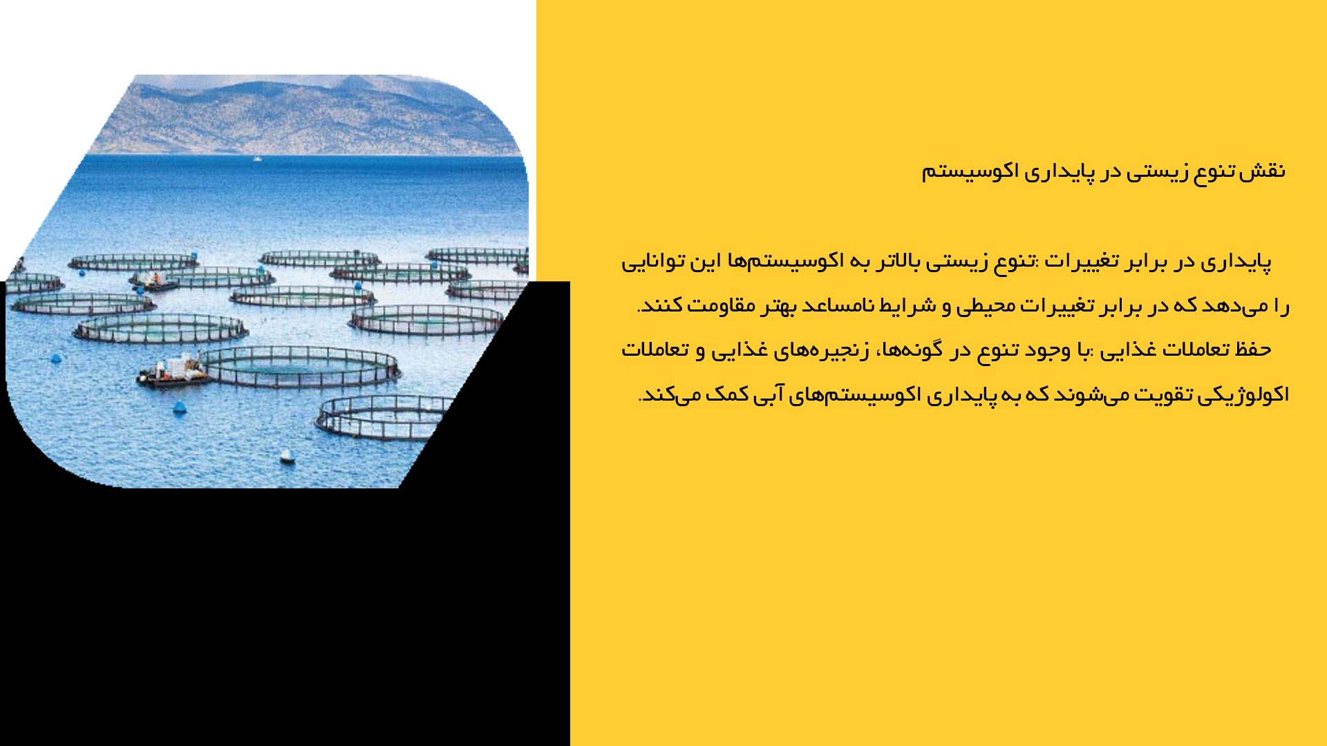 پاورپوینت در مورد بررسی نقش تنوع زیستی در پرورش آبزیان